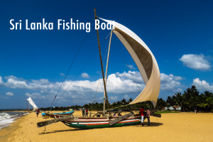 Travel Sri Lanka safely