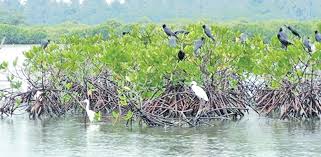 attractions near lespri grand negombo