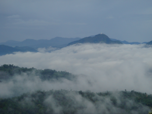 Amazing view of the misty mountains in kandy